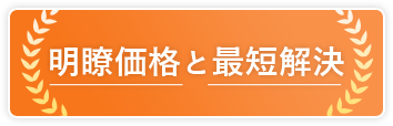 明瞭価格と最短解決