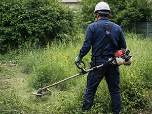 草刈り時の注意点