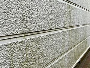 汚れを放置するリスク