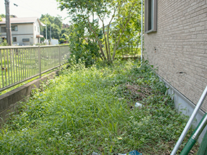 放置によるデメリット