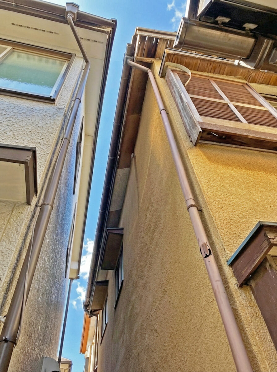 【松戸市】建物に接触している木の伐採事例｜木の伐採