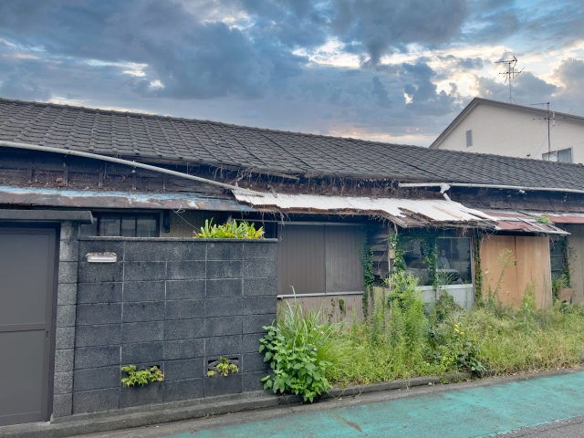 〈便利屋かつしか〉造園作業🌳雑草処理もおまかせください！